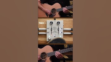 First Impressions of the Walrus Audio Xero Polylooper