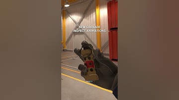 CS2 Grenade Inspects #2