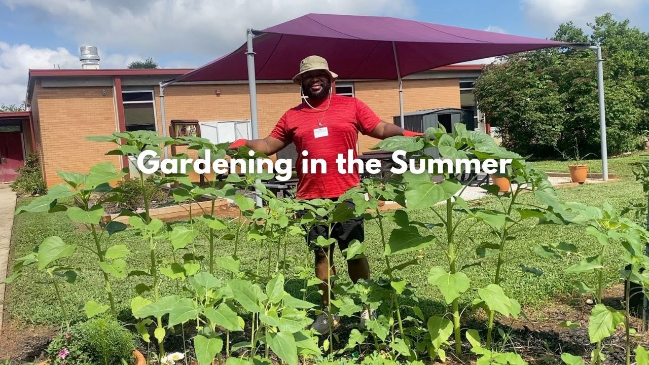 Summer Gardening: Growing Tomatoes, Squash, Peppers