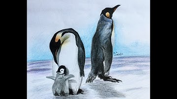 How to Draw Emperor Penguins