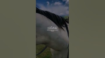 تلاوة تطهر القلب🌿 حالات واتس🌿 من سورة الشرح