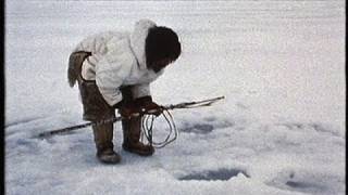 Group Hunting on the Spring Ice (2) - PREVIEW