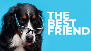 Exploring The Unbreakable Bond Between Humans And Dogs: The Ultimate Best Friends | Animal Club