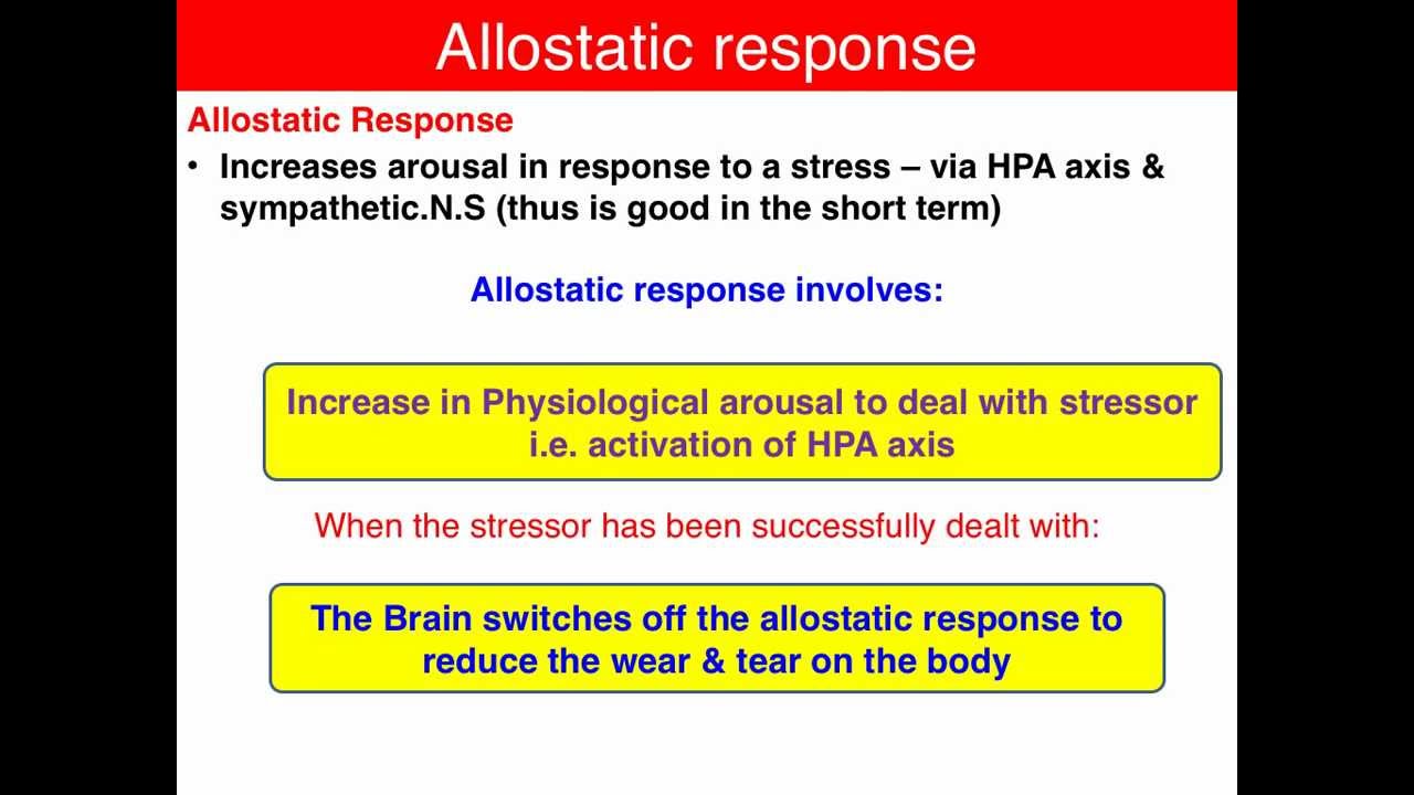 allostasis