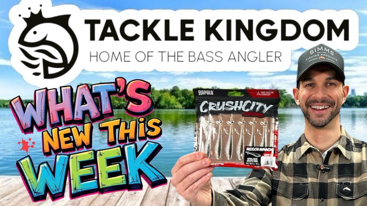 What’s New this Week at the Kingdom – CrushCity Special 🤟🏽