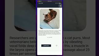 A Flutter app that fetche interesting cat facts using Hive DB, Freezed, BLoC,Retrofit and Dio