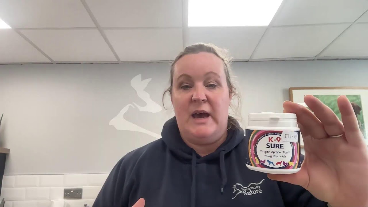 Free Spring Superfoods for dogs! Dandelions, Nettles, Cleavers