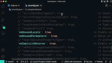 The Ultimate TypeScript Course，Advanced Types: The never Type