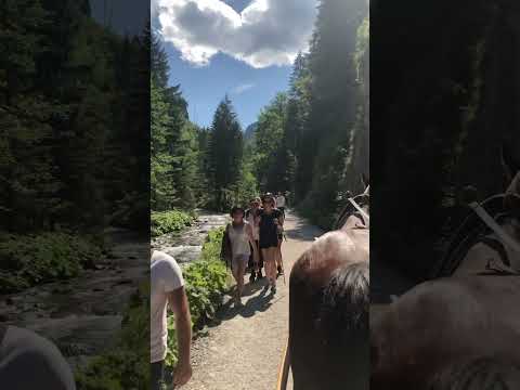 جمال هاي المدينة مو طبيعي  اكسبلور العراق ترند عراقي طبيعة