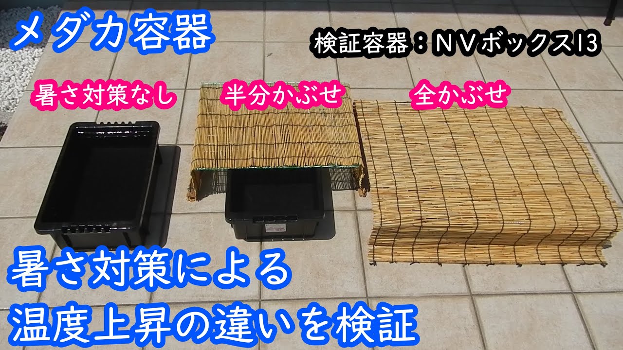 Medaka breeding container, NVBOX13 - Testing the difference in Medaka breeding container, NVBOX13 - Testing the difference in