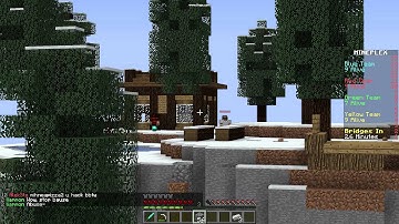 Stupid Fly Hackers - Bridges Skylands