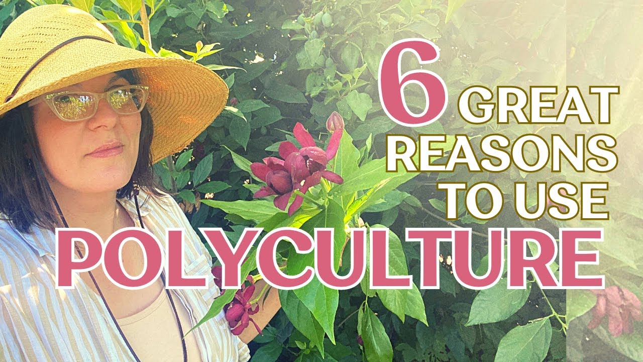 6 Great Reasons to Use Polyculture In Your Garden