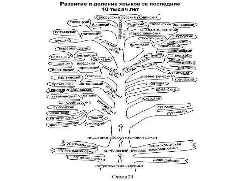 Общее языкознание - 8. Сравнительно-исторический и структурные методы.