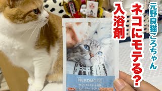 ネコにモテたい入浴剤試してみた　元野良猫ころちゃん