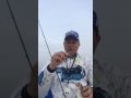 Salty Snack Review 