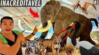 Zoológico de Itatiba  Zooparque  | Berçário de aves | Dinossauro | Taxidermia  | Aves Recriar