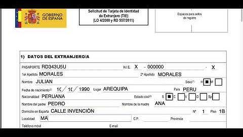 COMO RELLENAR EL FORMULARIO EX 17 - ESPAÑA