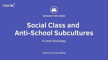 Relationships and Processes within Schools: Social Class and Anti-School Subcultures