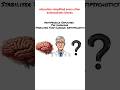 Why Your Psychiatrist Chose This Antipsychotic Over All the Others