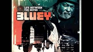 Life Between The Notes  - Bluey   (2015)