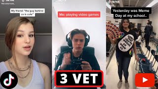3 Vet TikTok Trend Compilation
