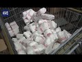Box Elder County Farm Bureau makes significant donation of locally-grown meat to food banks