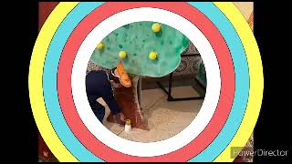 تجسيد حكاية\