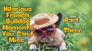 Part 3 Hilarious French Bulldog Moments You Can't Miss #frenchie #frenchbulldogs