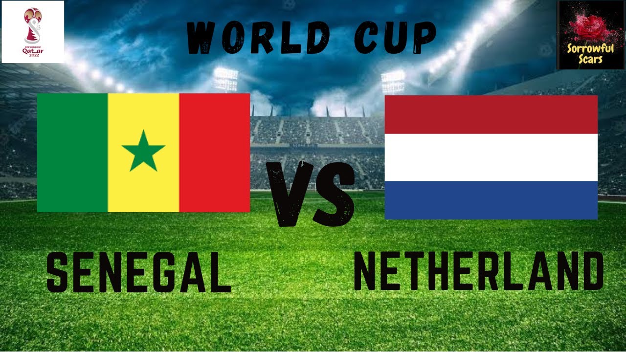Senegal vs Netherlands Live Match today world cup 2022 live YouTube
