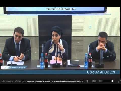 ეკა ბესელიასა და უმცირესობის წევრებს შორის შელაპარაკება მოხდა