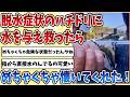 【2ch動物スレ】脱水症状になって命が危なかった【ハチドリ】が優しい人に救われた結果、めちゃくちゃ懐いてくれるようになった！！！