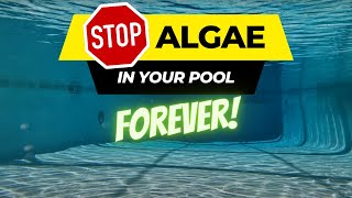 Never See Algae in Your Pool Again