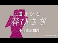 【中日歌詞翻譯】ヨルシカ/Yorushika - 春ひさぎ/Prostitution (Full/Lyrics)