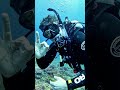 The ocean decides how far you go.#deepocean #marinedive #belowthesurface #scuba #marinemystery