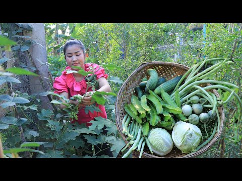 Countryside Life TV: All vegetable are free from vegetable garden / Vegetable dipping sauce recipe