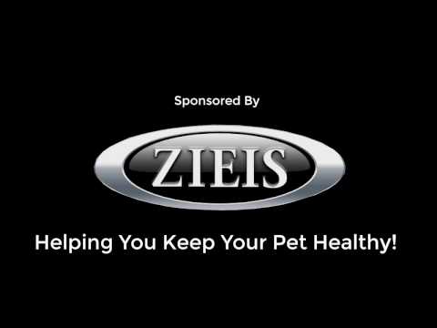 ZIEIS Digital Pet Scale Video - THANK YOU veterinary and zoo customers