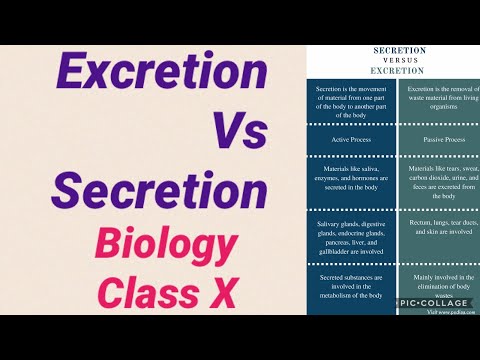 Excretion Vs Secretion || Class X || Biology || Excretion chapter ||