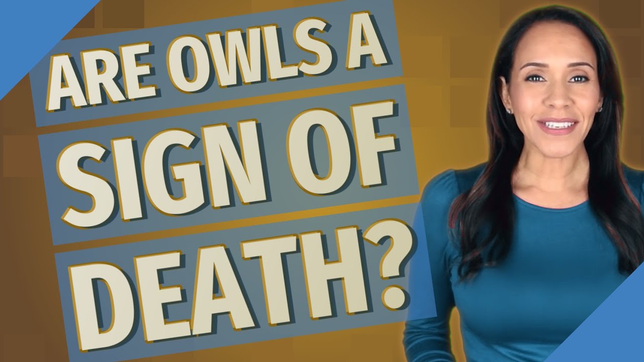 Are Owls a sign of death? YouTube