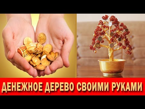 Video: DIY Pul Daraxti