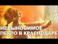 Как пережить жару в Краснодаре? Можно ли купаться на городском пляже с бесплатными бассейнами? 2019