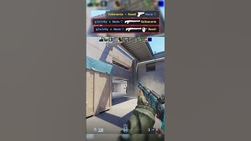 shotguns are balanced in cs2