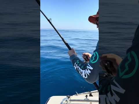 Book your private charter today, great local fishing in Long Beach