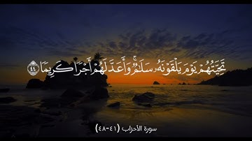 سورة الأحزاب (41-48)
