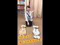 オススメの着ぐるみ衣装は！？