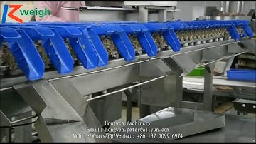 automatic chicken fish weighing scale sorting machine курица убой фабрики