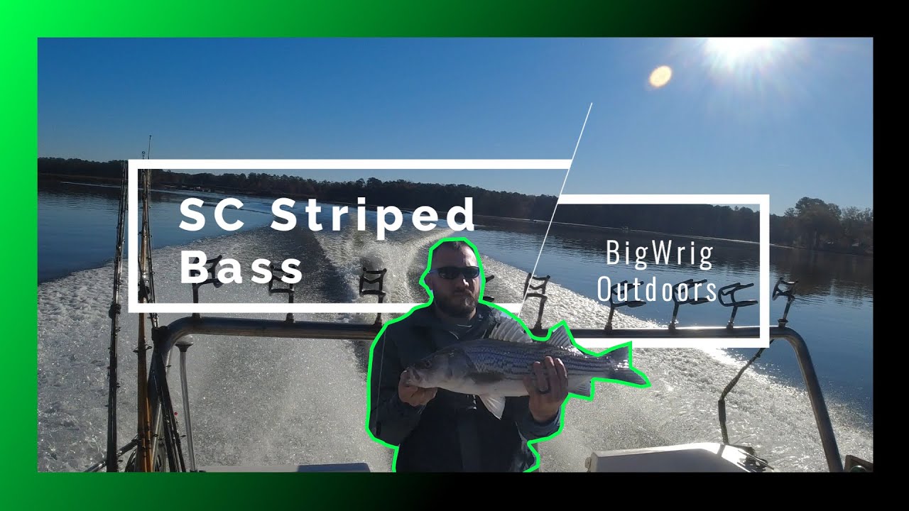 Fishing for Land Locked Striped Bass!!! YouTube