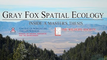 Gray Fox Spatial Ecology | Inside A Master