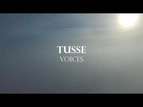 Tusse - Voices (Eurovision 2021 Sweden) Lyrics