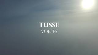 Tusse - Voices (Eurovision 2021 Sweden) Lyrics