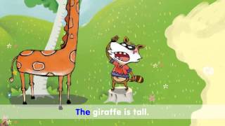 The Raccoon Is Short